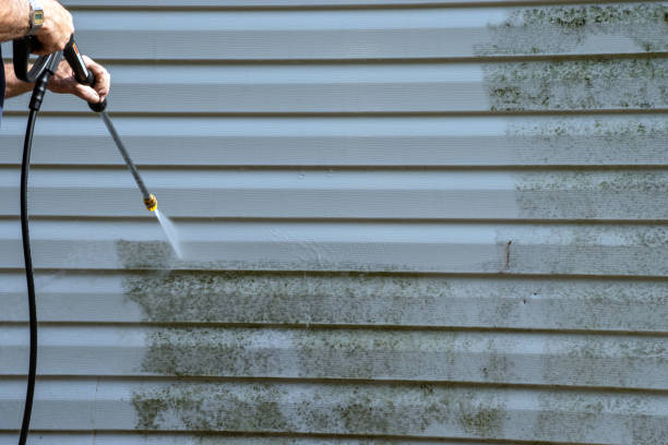 Best Shed Removal  in Galls, IN